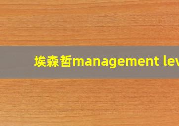 埃森哲management level